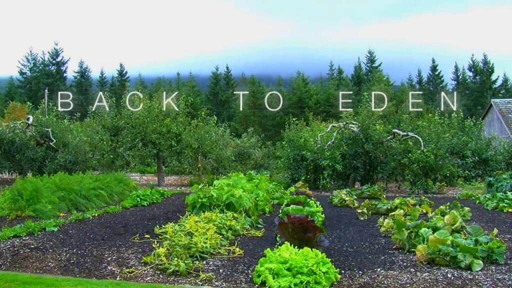Odla enligt Guds principer – Tillbaka till Eden 17/5