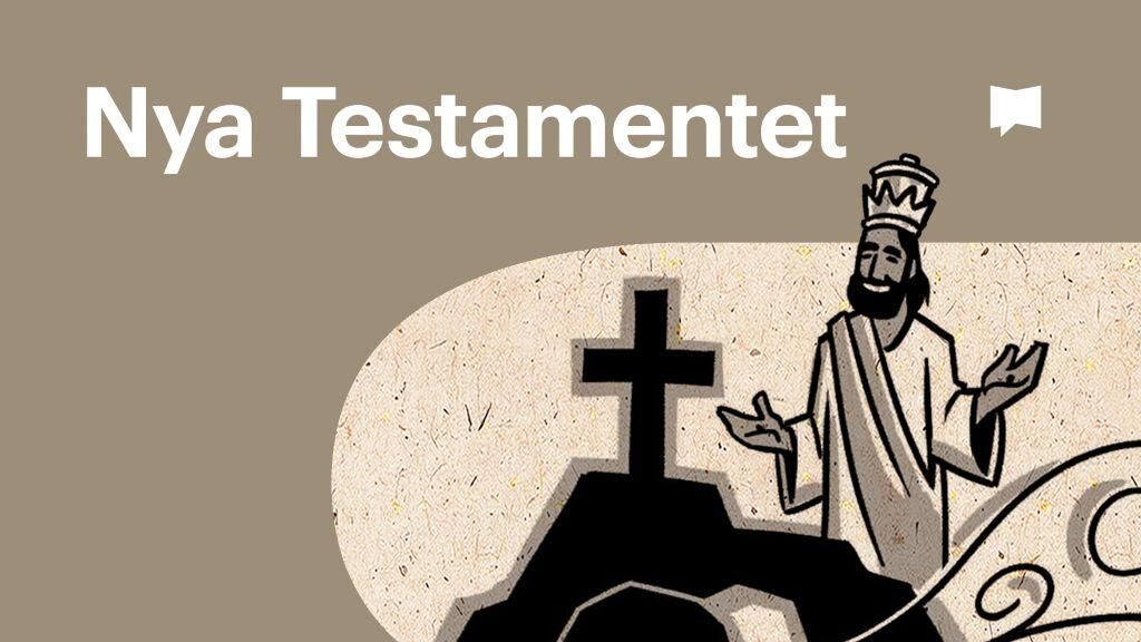 Bible Project – svenskt tal.  Streama alla avsnitt i Play-arkivet.