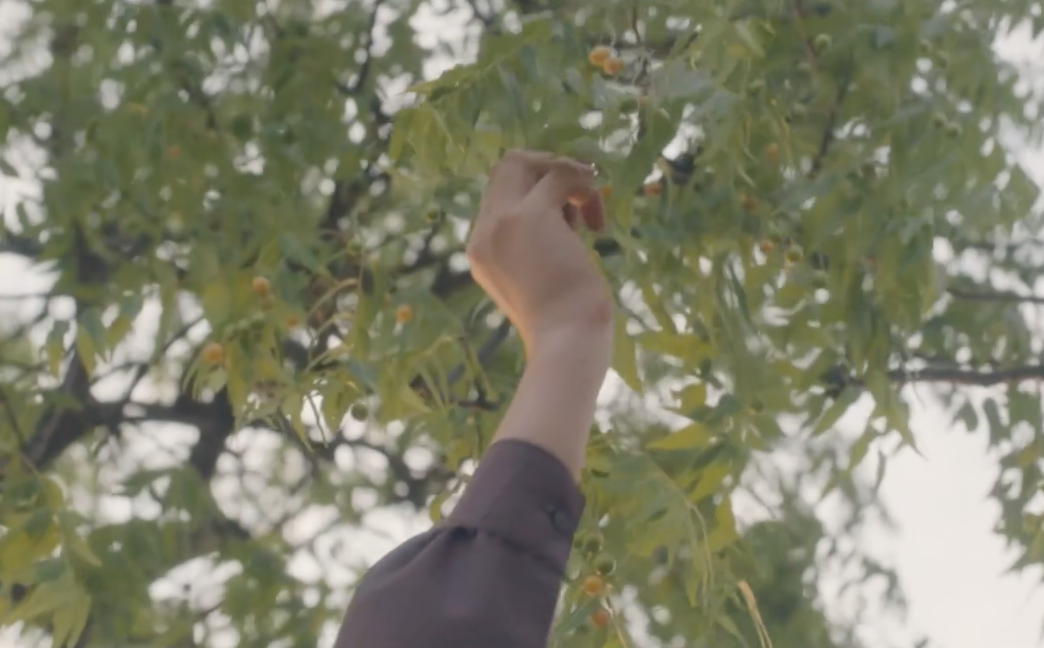 Serie | Upptäck livet – Den goda Guden, tor 1/1 kl 22:10