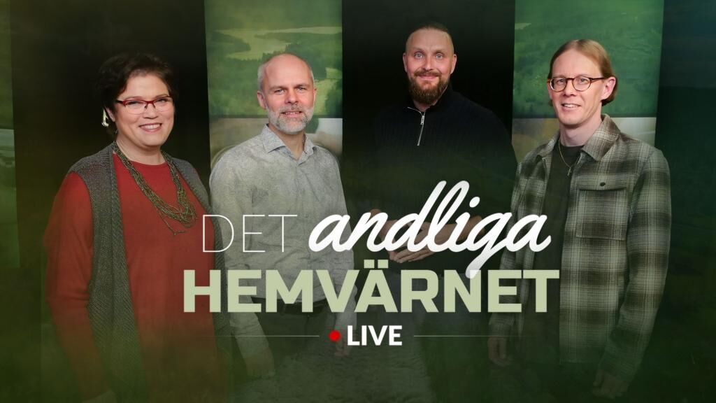 Kliv fram, ta ställning! – se och be i efterhand